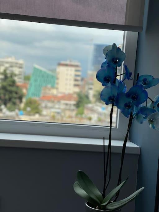 Voyage Penthouse Apartment Tirana Bagian luar foto